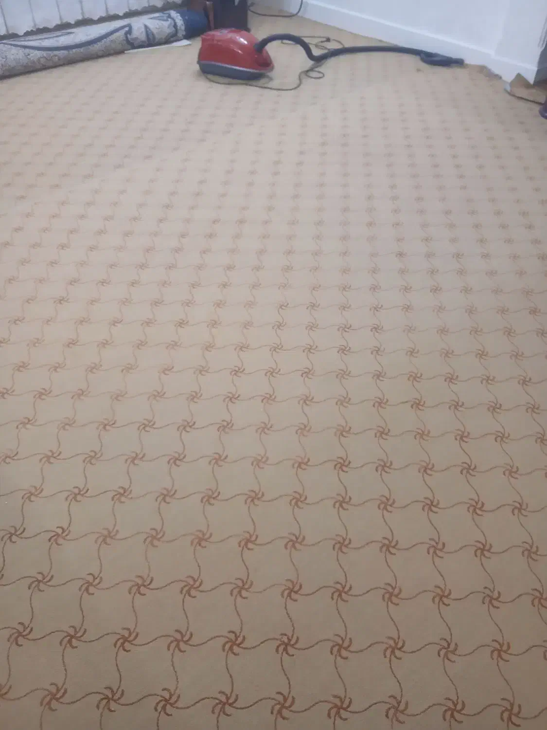 موکت|موکت|قم, پردیسان|دیوار