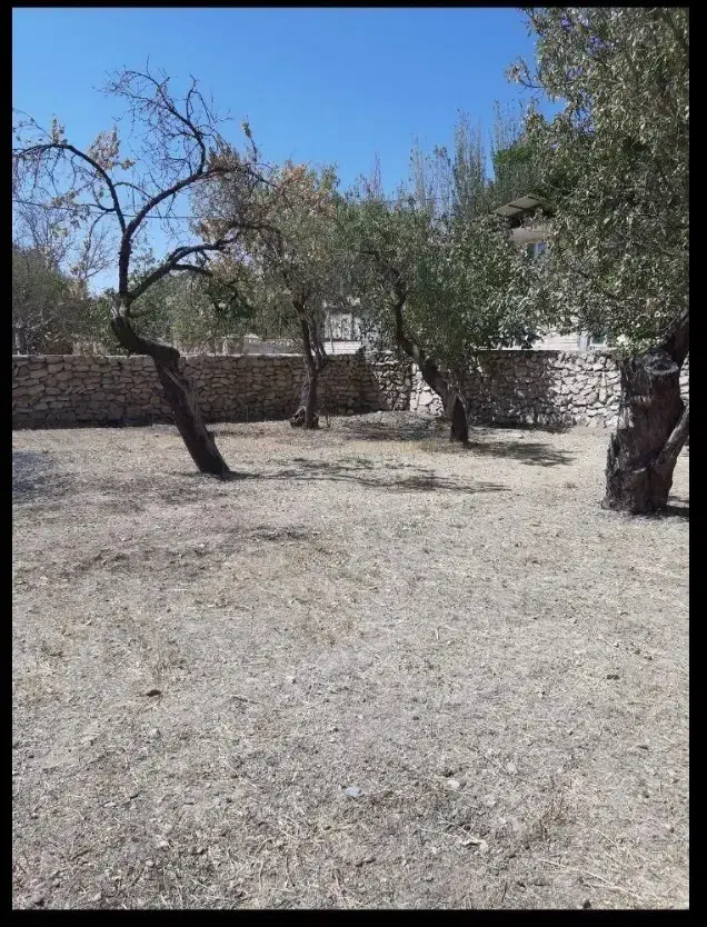 فروش زمین طرقرود|فروش زمین و ملک کلنگی|نطنز, |دیوار