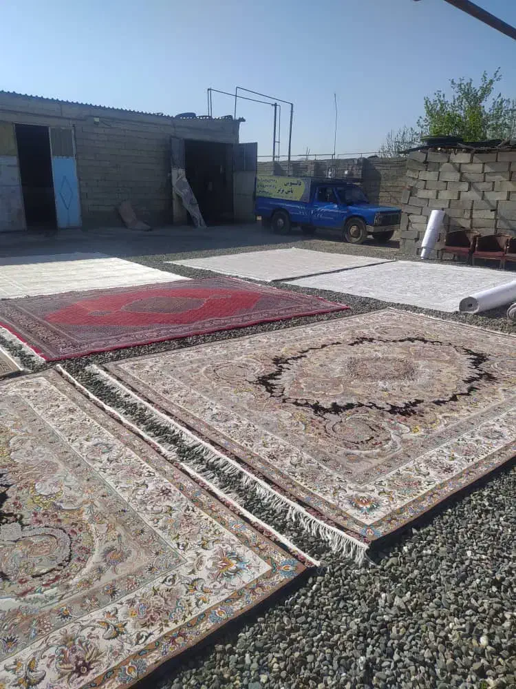 قالی شویی یاس(برتر)|خدمات نظافت|سقز, |دیوار