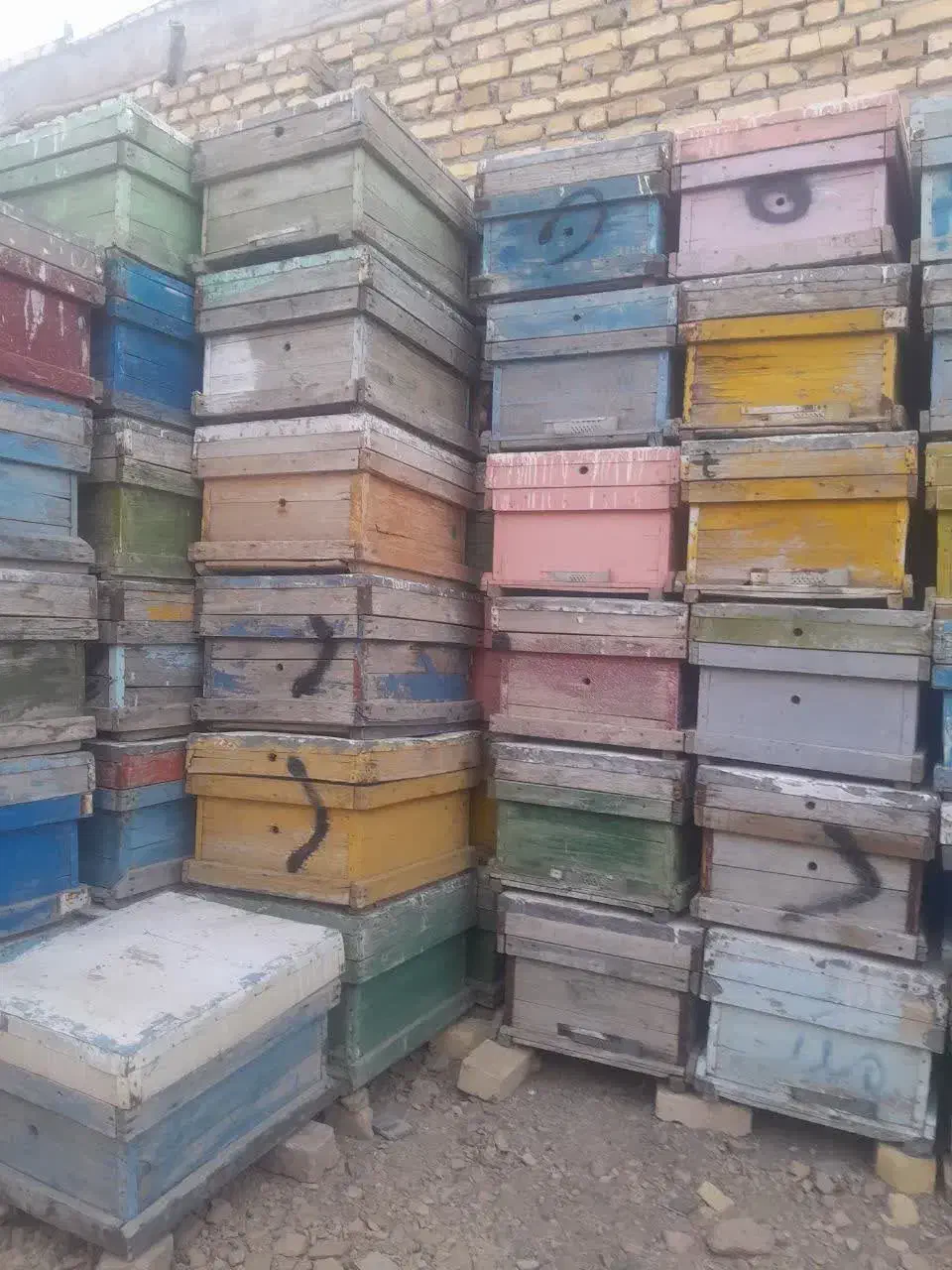 کندو زنبور|عمده‌فروشی|کاشمر, |دیوار