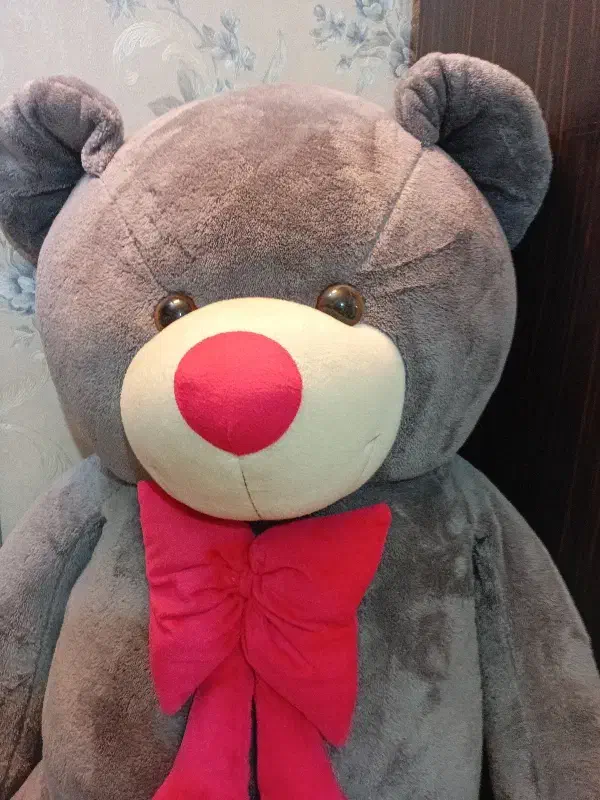 خرس عروسکی|اسباب‌‌بازی|مشهد, آزادشهر|دیوار