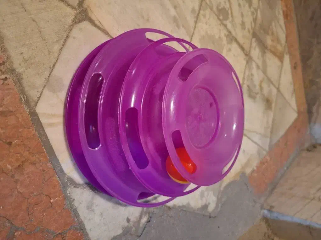 ظرف آب و غذای گربه|لوازم جانبی حیوانات|تهران, شهرک مخابرات|دیوار