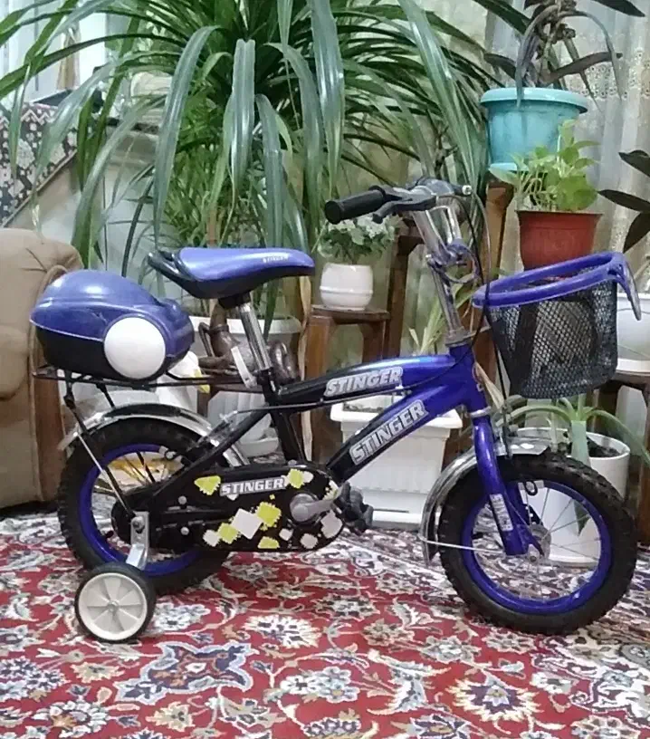 دوچرخه ۱۲ کودک|دوچرخه، اسکیت، اسکوتر|گلبهار, شهر جدید گلبهار|دیوار