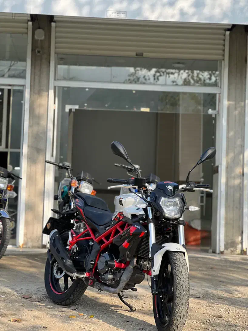 موتور بنلی ۲۵۰ تک درحد خشک|موتورسیکلت|تالش, تالش|دیوار