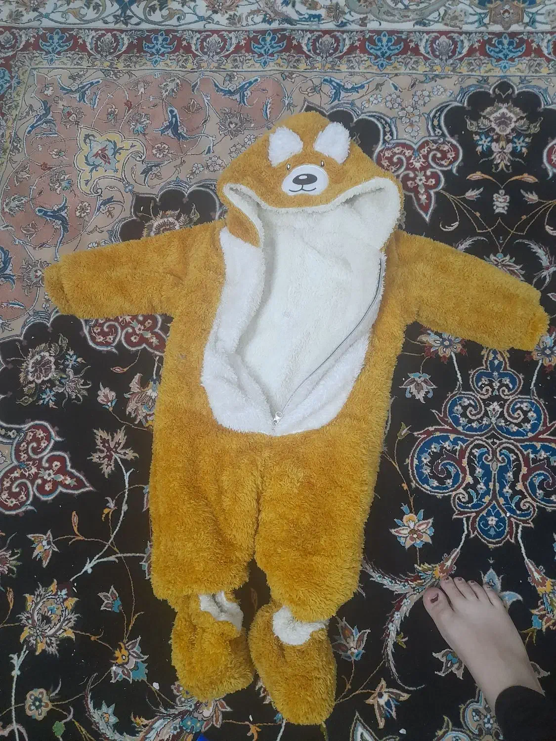 کاپشن نو|کفش و لباس بچه|زارچ, |دیوار