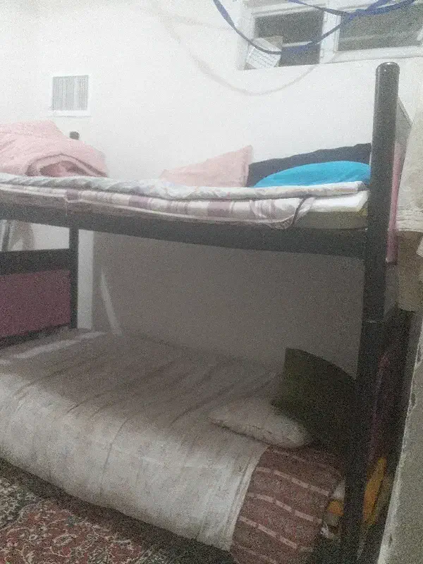 سوئیت|اجارهٔ کوتاهمدت آپارتمان و سوئیت|اسلامیه, |دیوار