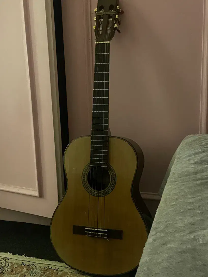 گیتار کلاسیک انجل لوپز|گیتار، بیس، امپلیفایر|تهران, ارامنه|دیوار