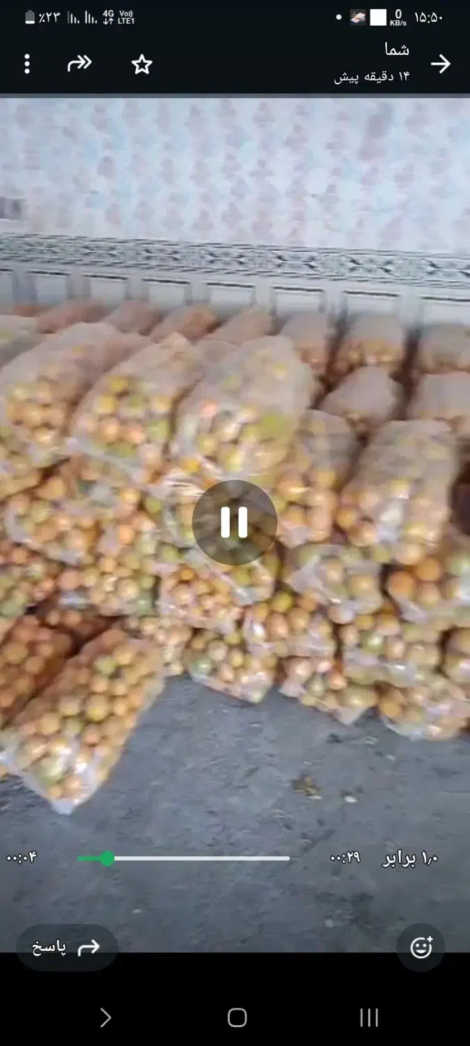 پرتقال شیرین بهترین محل بم|عمدهفروشی|بم, |دیوار