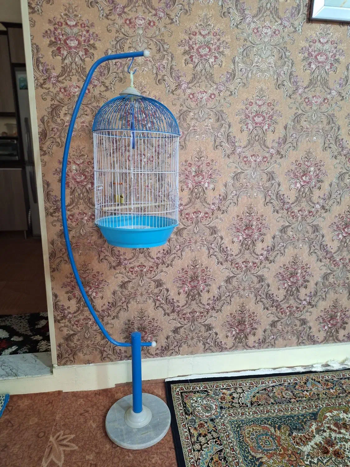 قفس پرنده با پایه ۶۲۰|لوازم جانبی حیوانات|قم, نخودی|دیوار