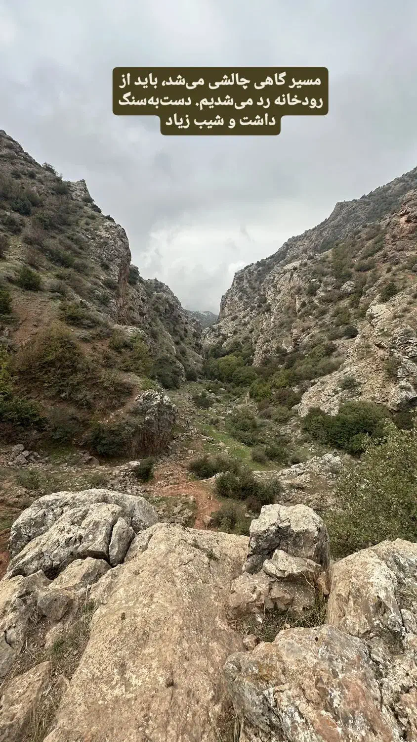 پیدا کردن افراد کوهنورد ورزشکار پایه اهل سفر|کوهنوردی و کمپینگ|تهران, بوستان شیان|دیوار