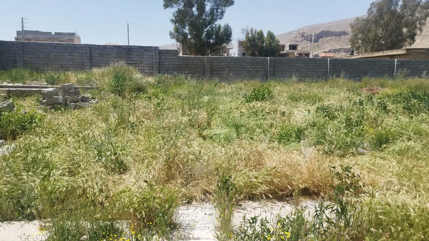 زمین|فروش زمین و ملک کلنگی|شیراز, کفترک|دیوار