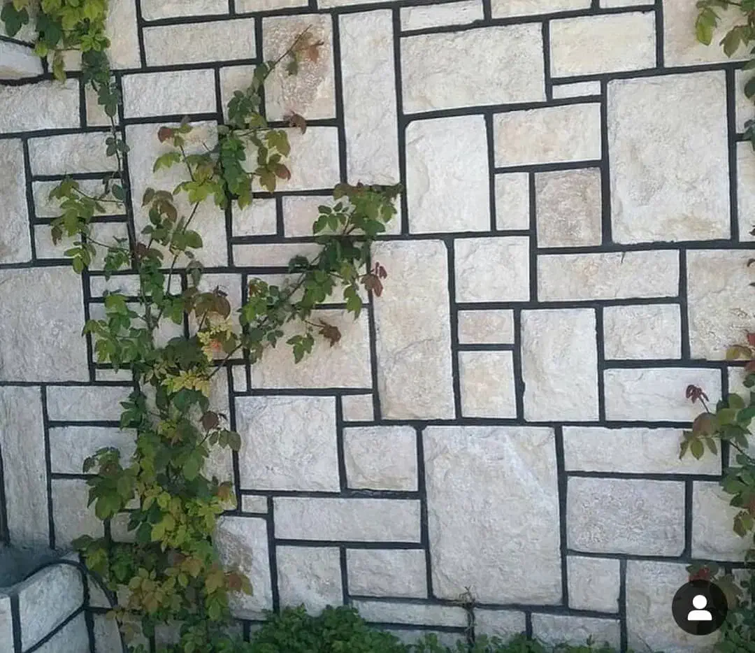 سنگ چینی و محوطه سازی|خدمات پیشه و مهارت|چالوس, |دیوار