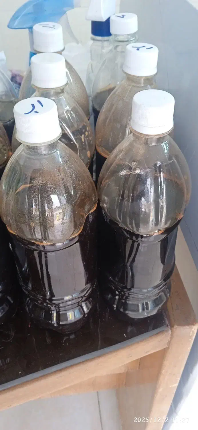 رب انار و شیره انگور درجه یک|خوردنی و آشامیدنی|فولادشهر, C4|دیوار