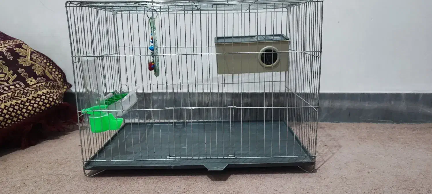 قفس پرنده با تمام ملزومات|لوازم جانبی حیوانات|آبدانان, |دیوار