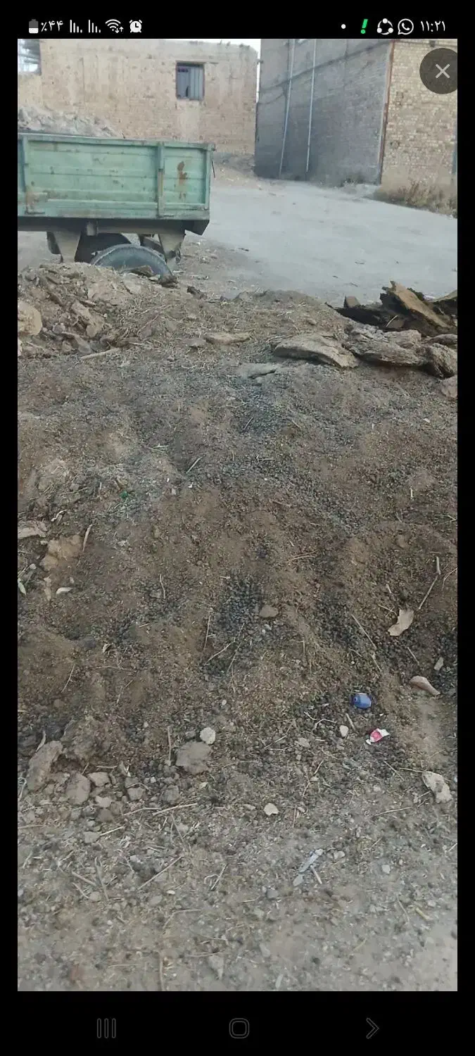 خریدار کود حیوانی|خدمات باغبانی و درختکاری|مهاجران, |دیوار