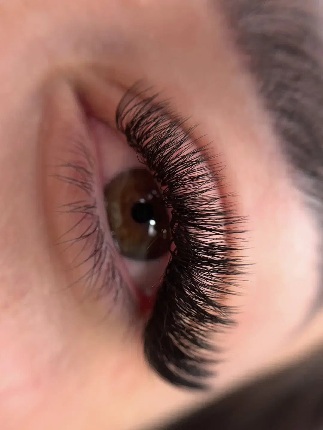 تخفیفات اکستنشن مژه|خدمات آرایشگری و زیبایی|سبزوار, کوی بهار|دیوار