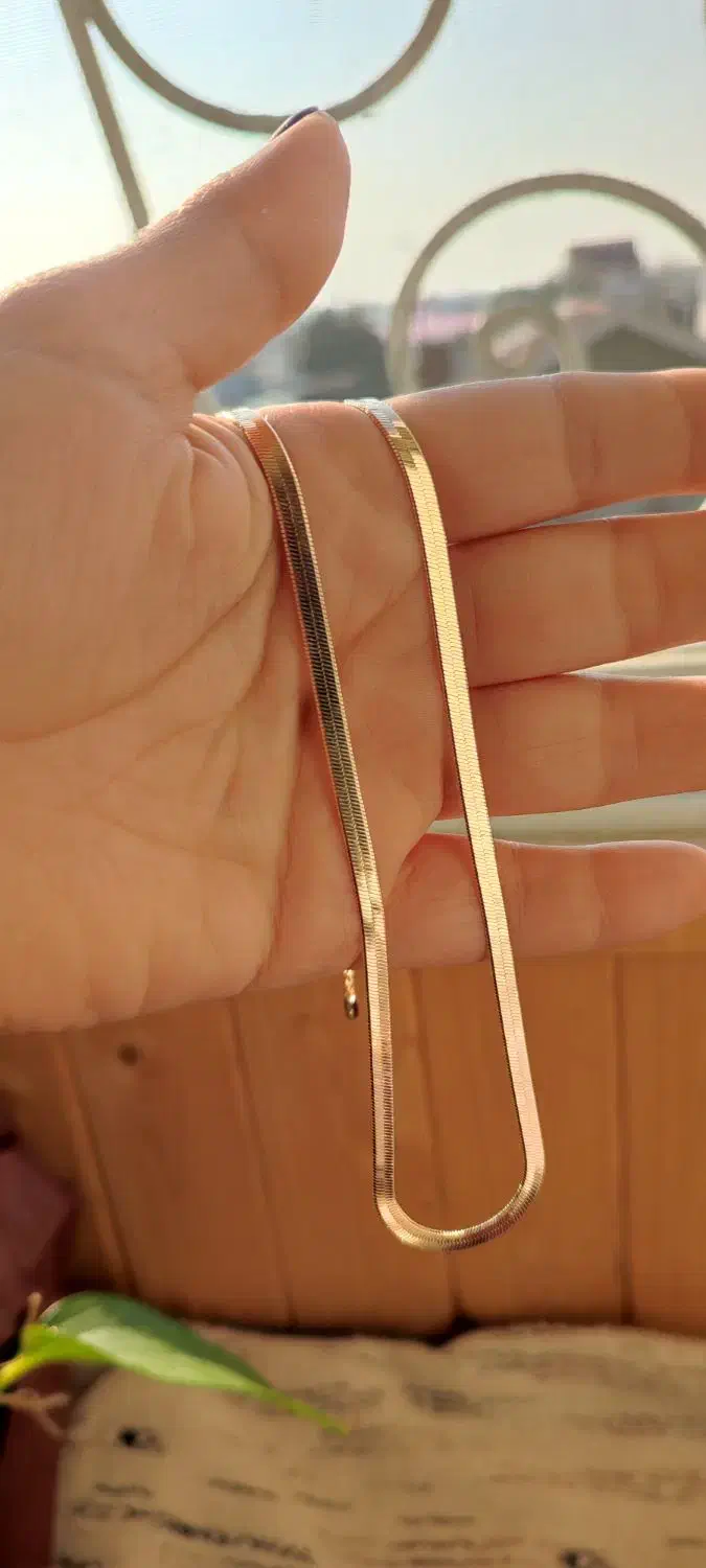 زنجیر نفرتی پهن|بدلیجات|بندر انزلی, ساحل قو|دیوار