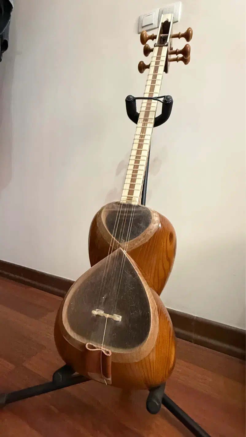 تار ایرانی حرفه ای|سازهای سنتی|ارومیه, |دیوار