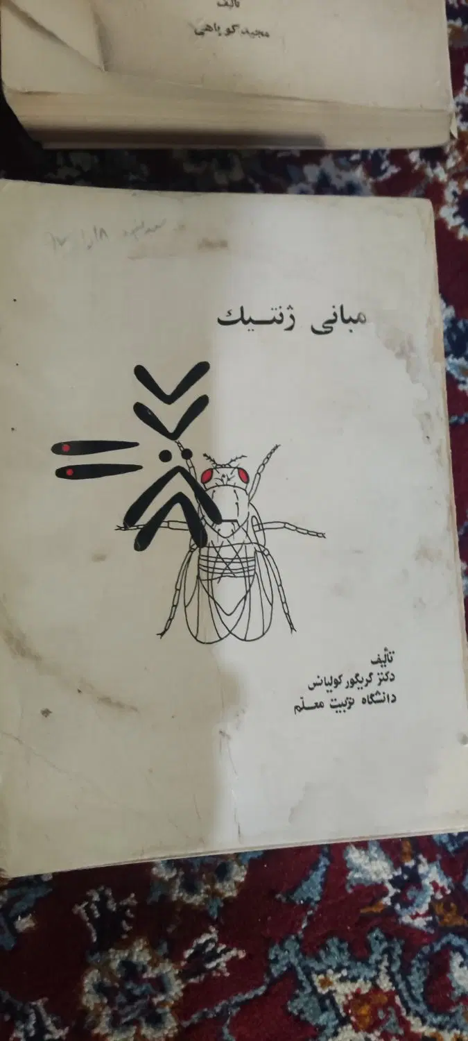 ۱۲۵ عدد کتاب های قدیمی کاملاً سالم (( فروش فوری ))|کتاب و مجله تاریخی|اهواز, فرهنگ شهر|دیوار