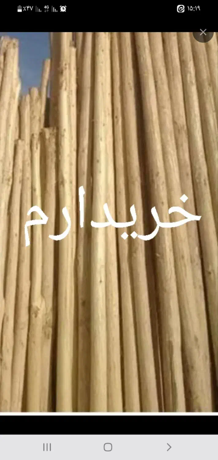 تیرهای سقفی و چوب درخت سفیدار ....|خدمات باغبانی و درختکاری|آباده, |دیوار