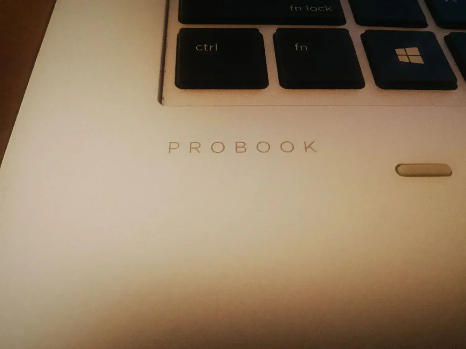 lap top HP pro|رایانه همراه|تهران, فلسطین (میدان انقلاب)|دیوار