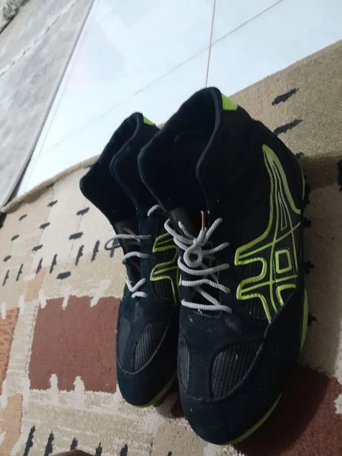 کفش کشتی|کیف، کفش، کمربند|شاهین‌شهر, شهرک گلدیس|دیوار