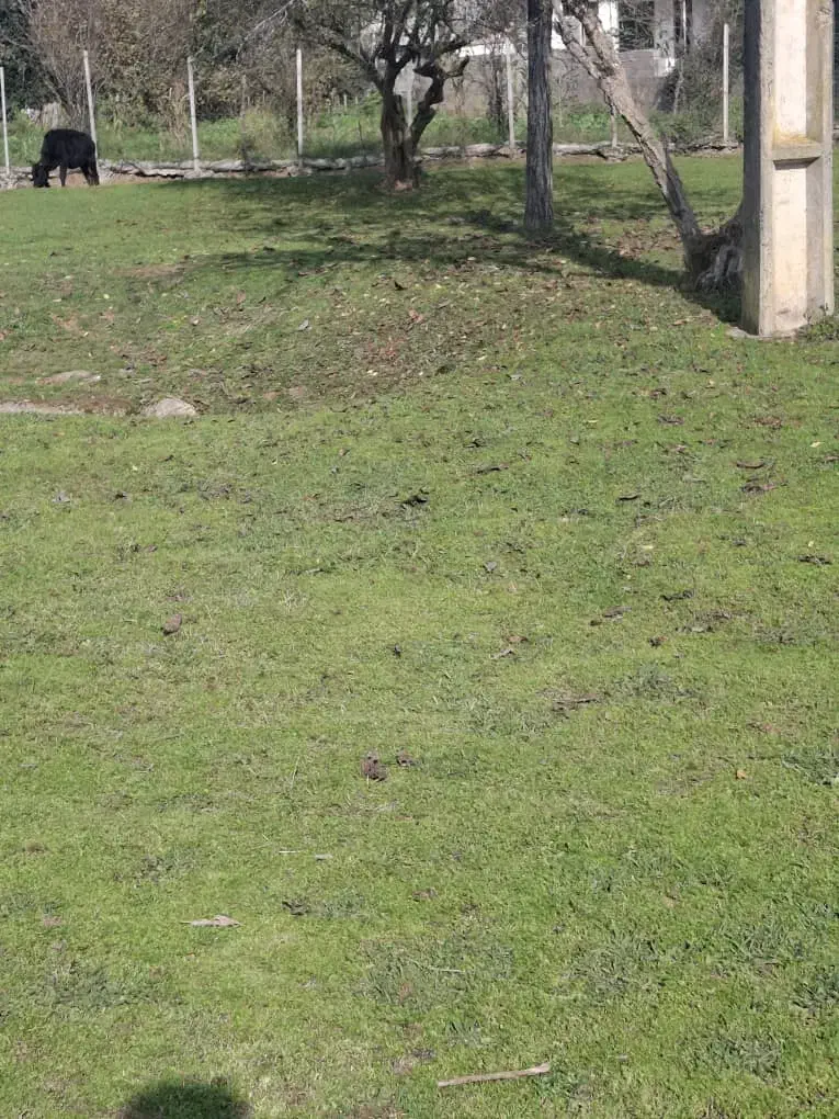 زمین روستایی|فروش زمین و ملک کلنگی|گوراب زرمیخ, |دیوار