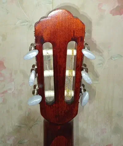 گیتار Mat2 به همراه کاور|گیتار، بیس، امپلیفایر|تربت‌حیدریه, قائم|دیوار