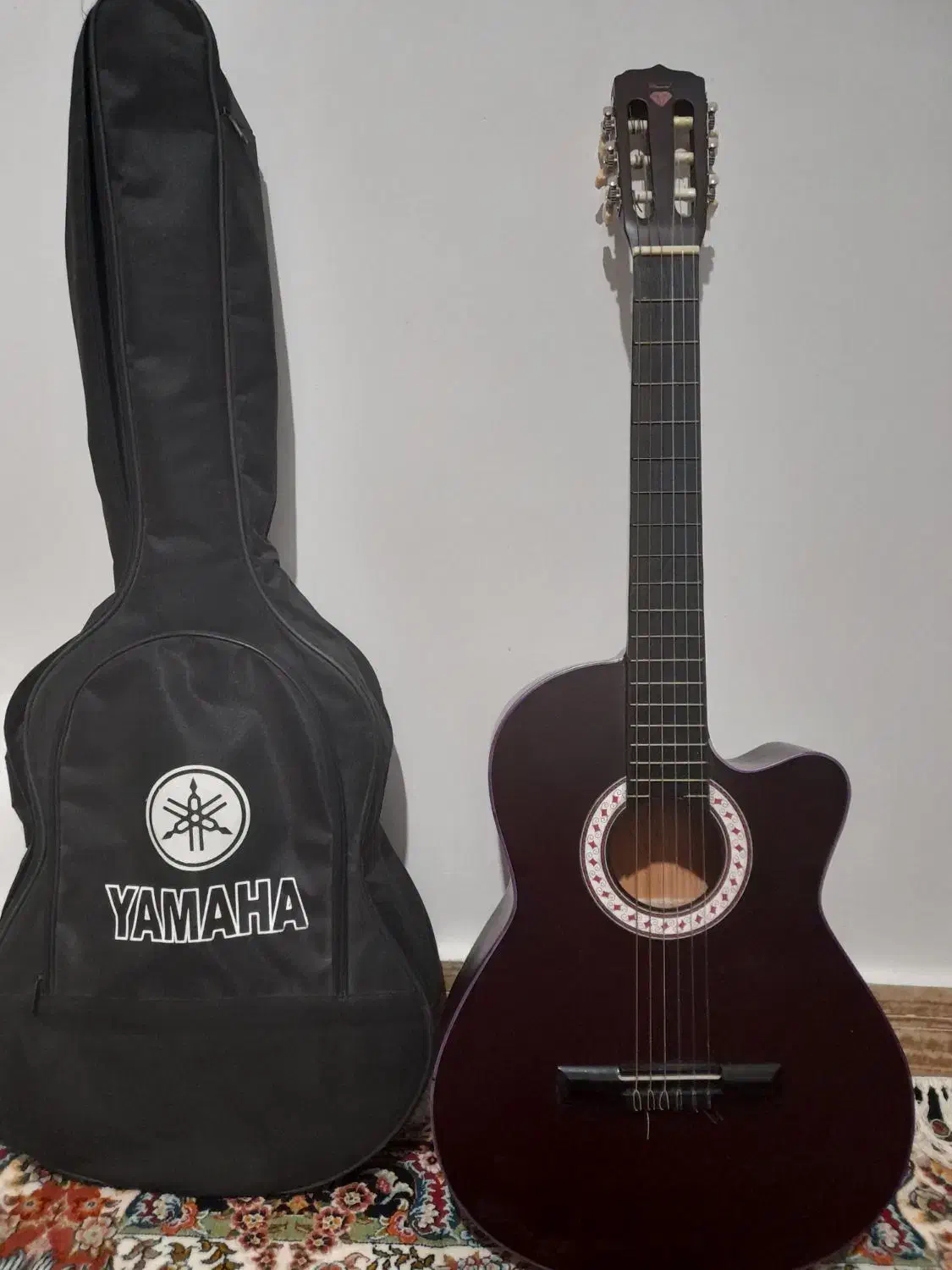 گیتار در حد نو سالم و تمیز|گیتار، بیس، امپلیفایر|یاسوج, |دیوار