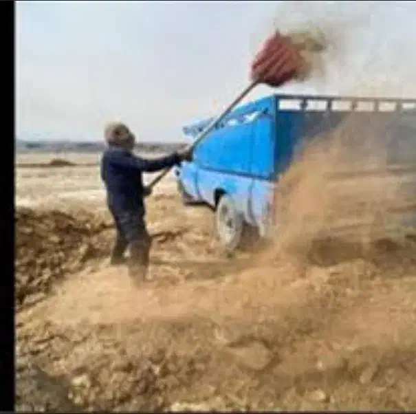 کود گاوی درجه یک مرغوب برای باغات پربار|خدمات باغبانی و درختکاری|مشهد, سازمان آب|دیوار