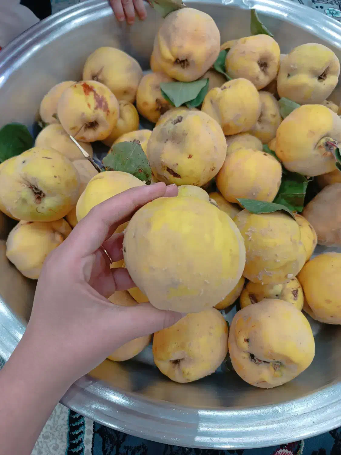 به شهرستان|خوردنی و آشامیدنی|رباطکریم, الارد|دیوار