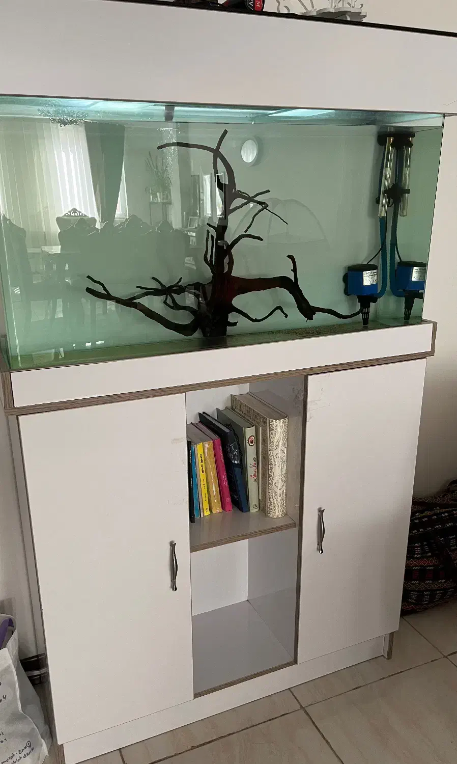 آکواریوم ماهی|ماهی|فردیس, داوری|دیوار