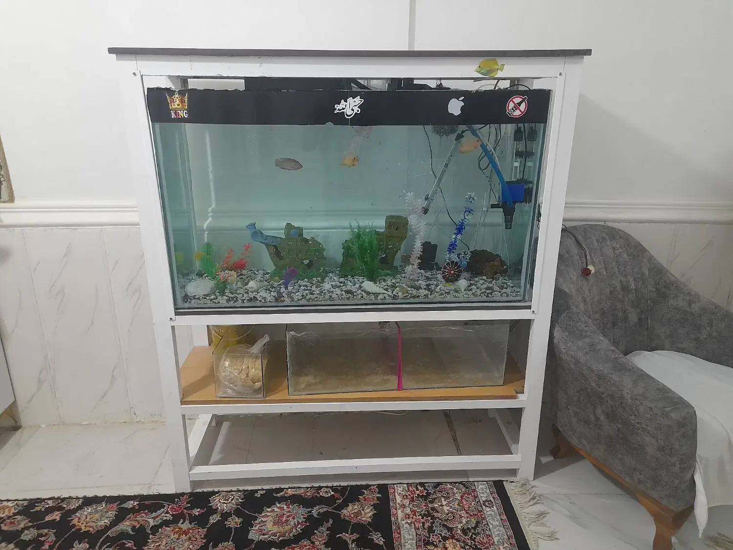 اکواریوم بزرگ|ماهی|بندرعباس, |دیوار