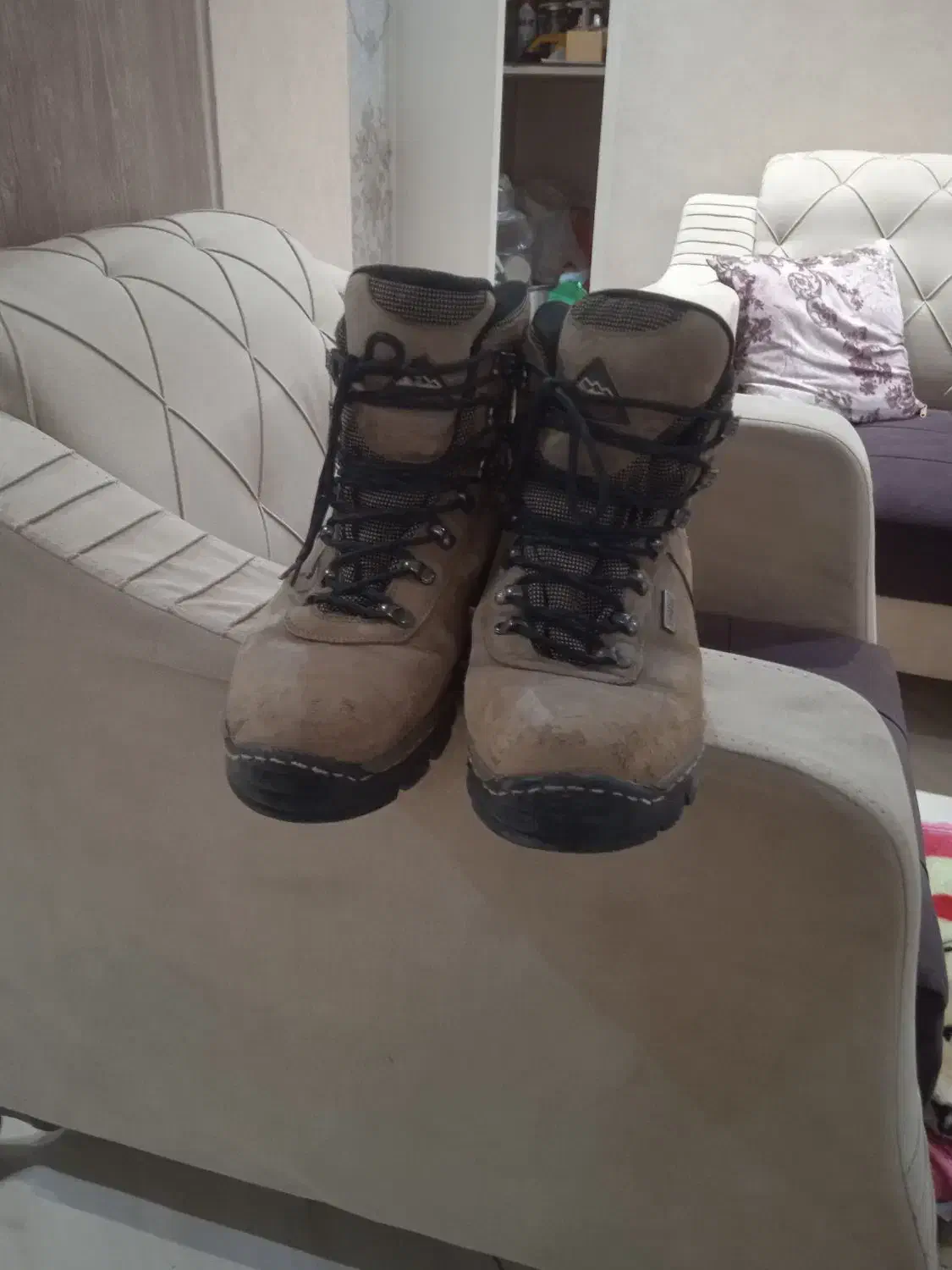 کفش کوه نوردی|کوهنوردی و کمپینگ|تهران, قیام|دیوار