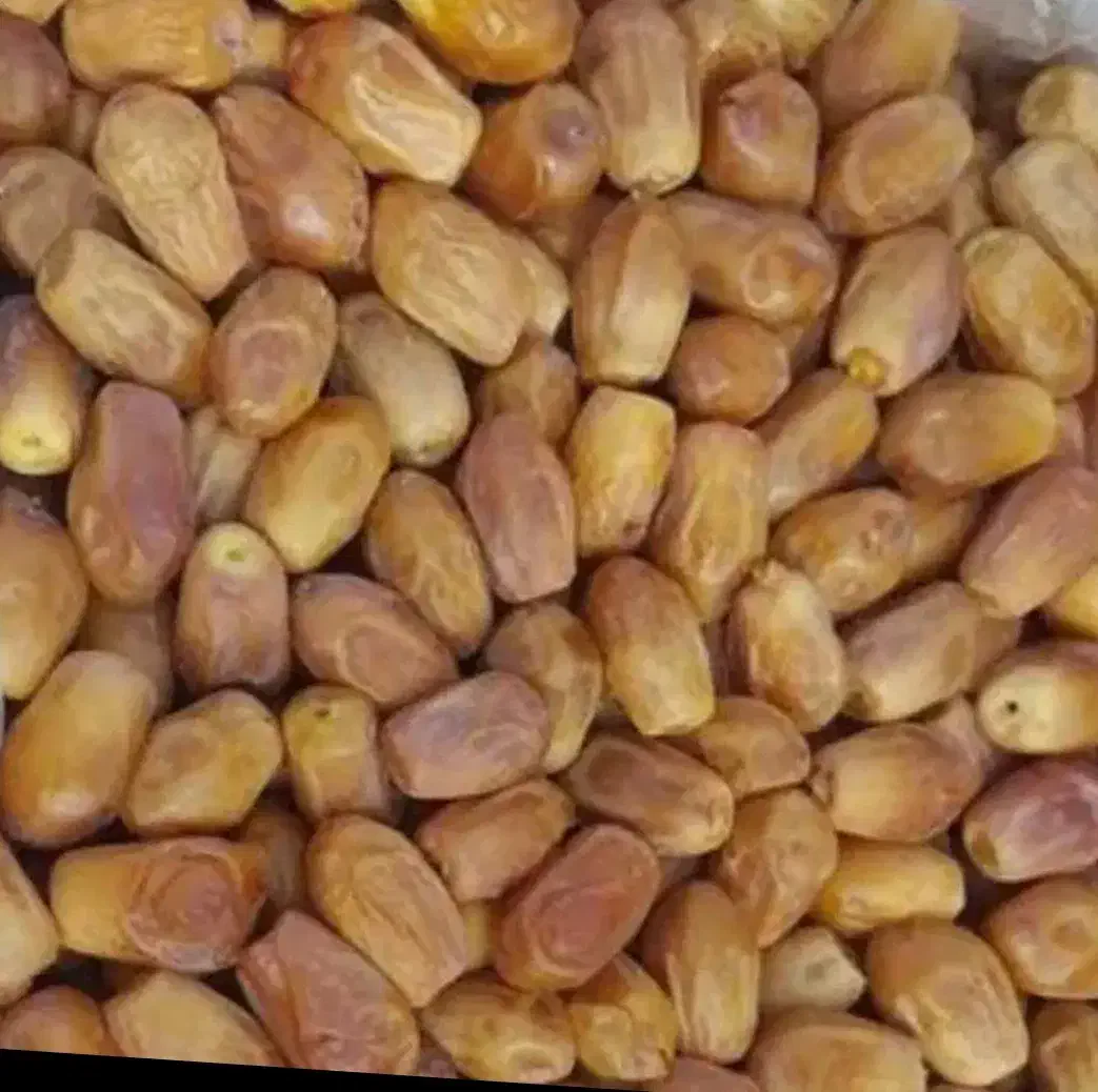 فروش قصب درجه یک|خوردنی و آشامیدنی|ارم, |دیوار