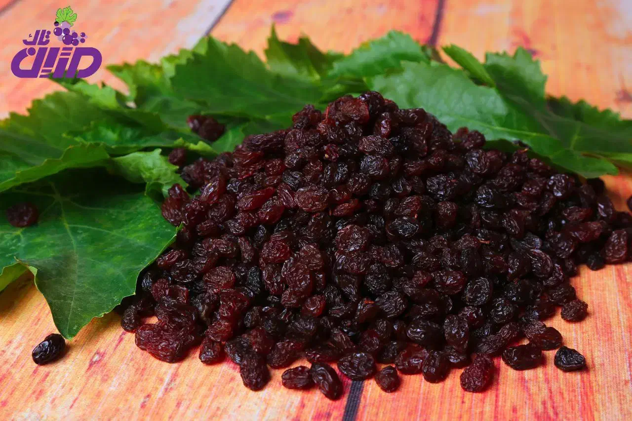 شرکت آروین تاک کشمش|عمده‌فروشی|تاکستان, |دیوار