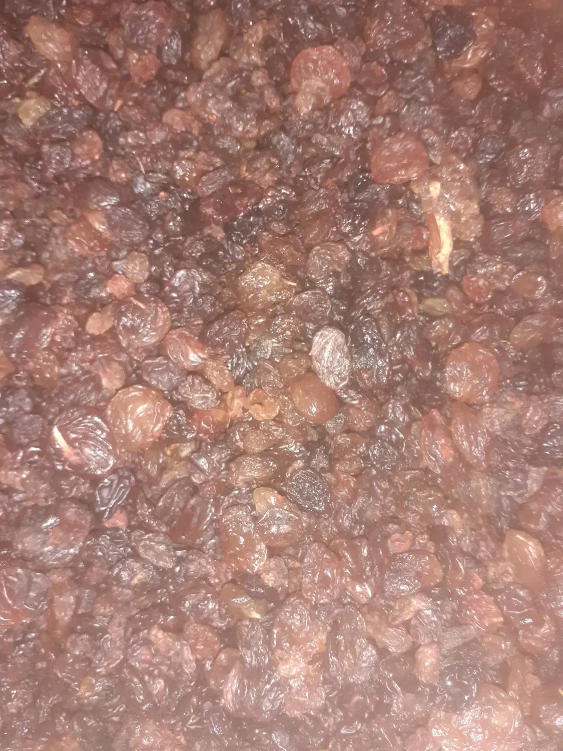 کشمش و تیزاب|خوردنی و آشامیدنی|تاکستان, |دیوار