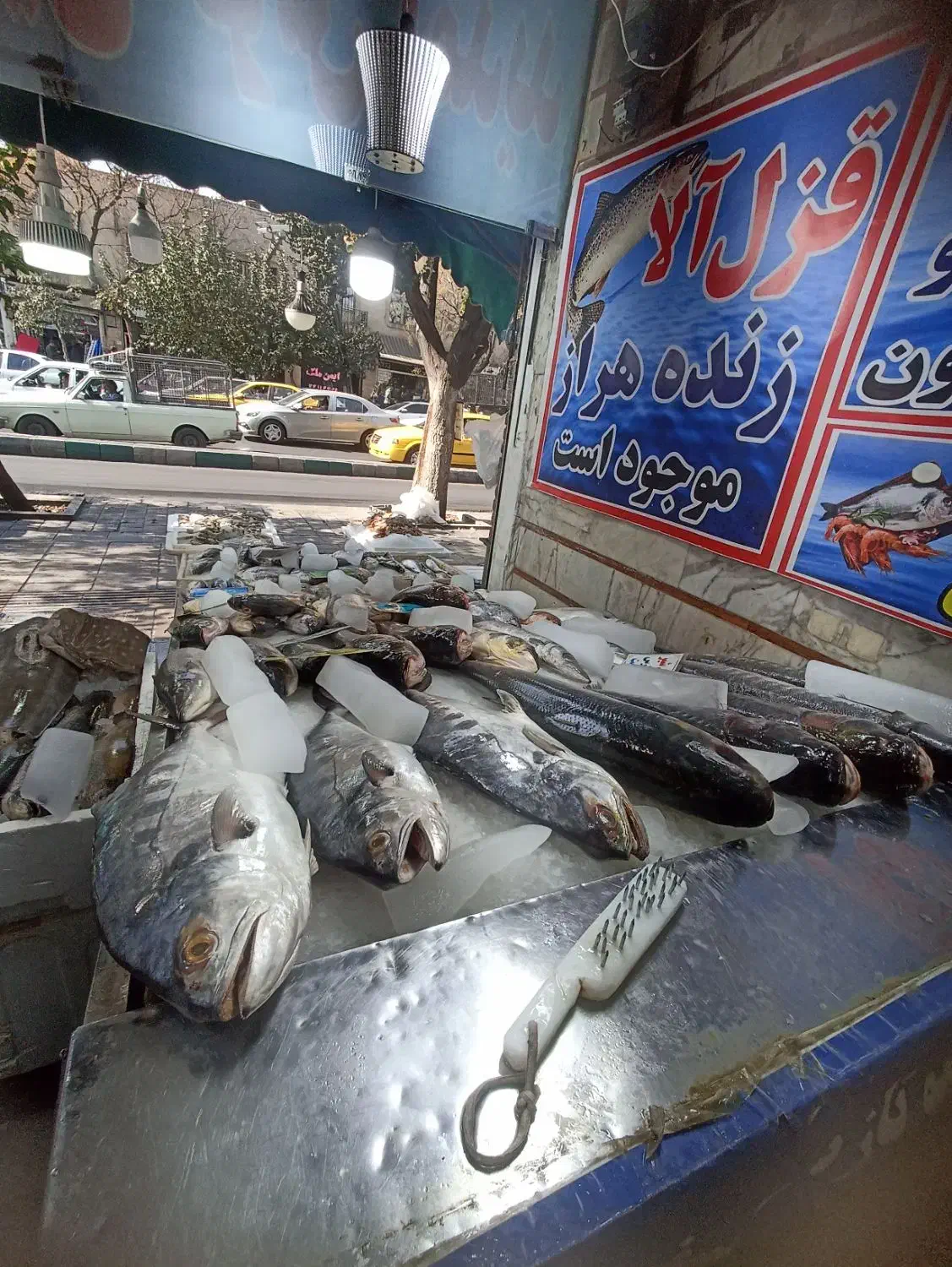 یخچال ماهی فروشی کفی شیب دار|فروشگاه و مغازه|تهران, ایران|دیوار