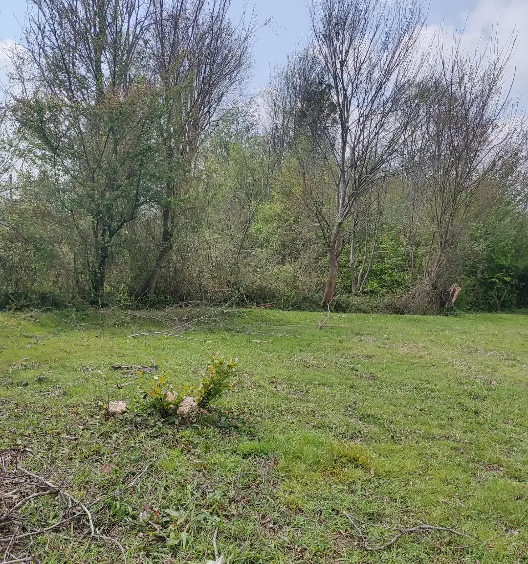 300مترزمین مسکونی دونبش سیاهکل محله|فروش زمین و ملک کلنگی|سیاهکل, |دیوار