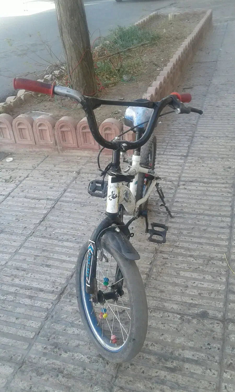 دوچرخه 16|دوچرخه، اسکیت، اسکوتر|بیرجند, |دیوار