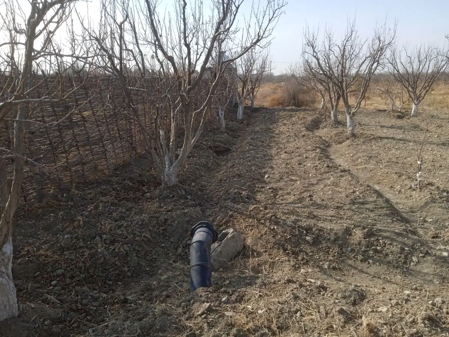 باغچه شهرکی|فروش زمین و ملک کلنگی|تنکمان, |دیوار