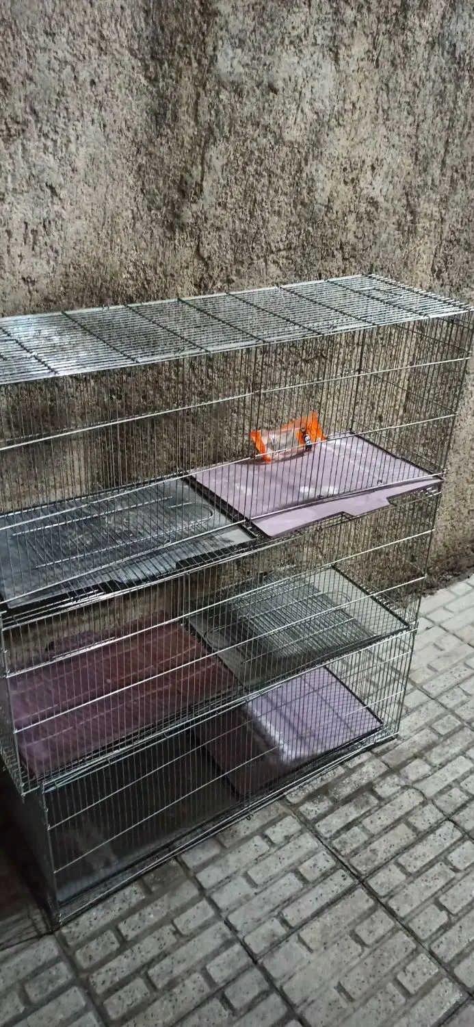 قفس پرنده|لوازم جانبی حیوانات|جوانرود, |دیوار