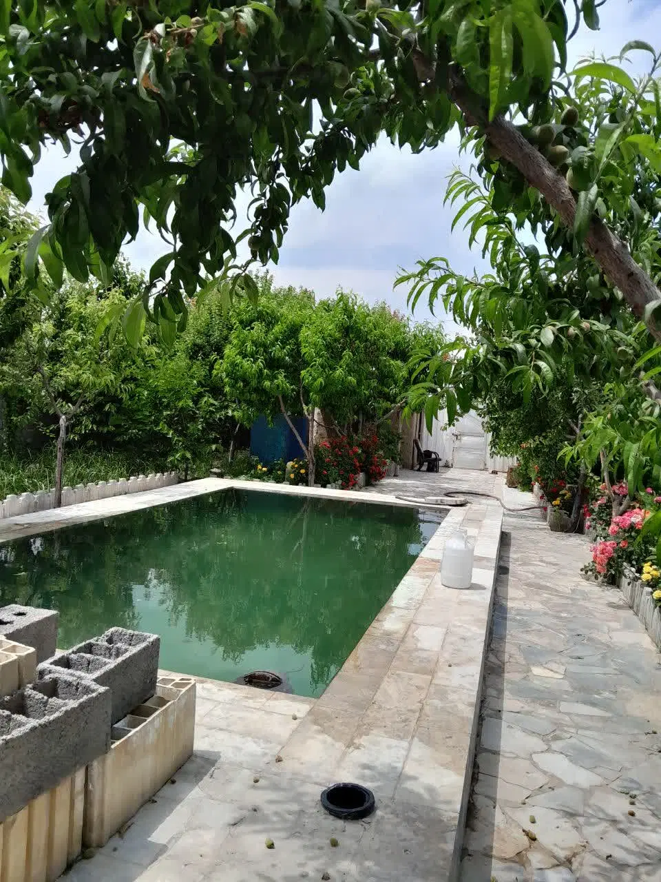 تصویر 5