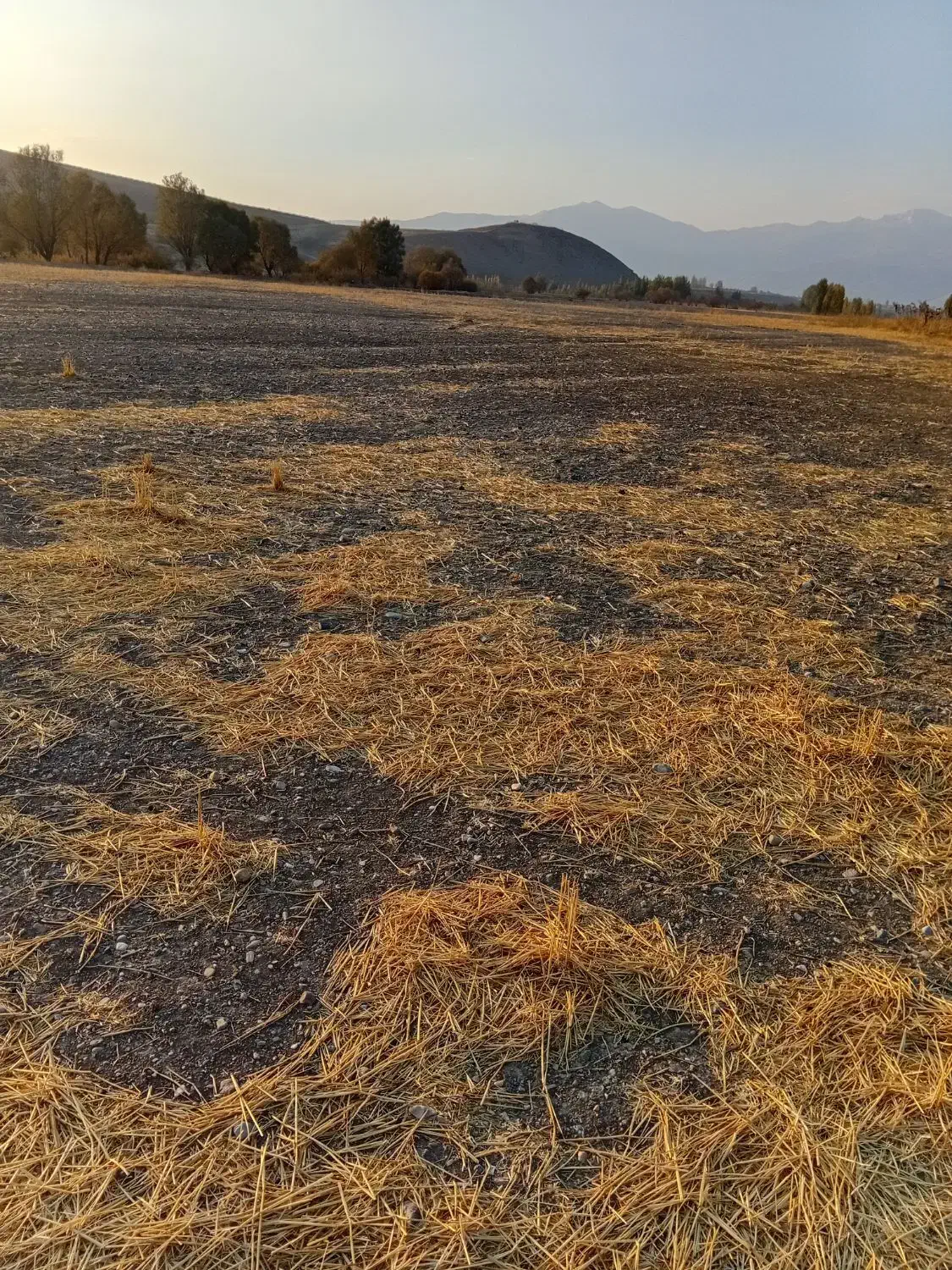 ملک آبی|فروش زمین و ملک کلنگی|سیلوانه, |دیوار