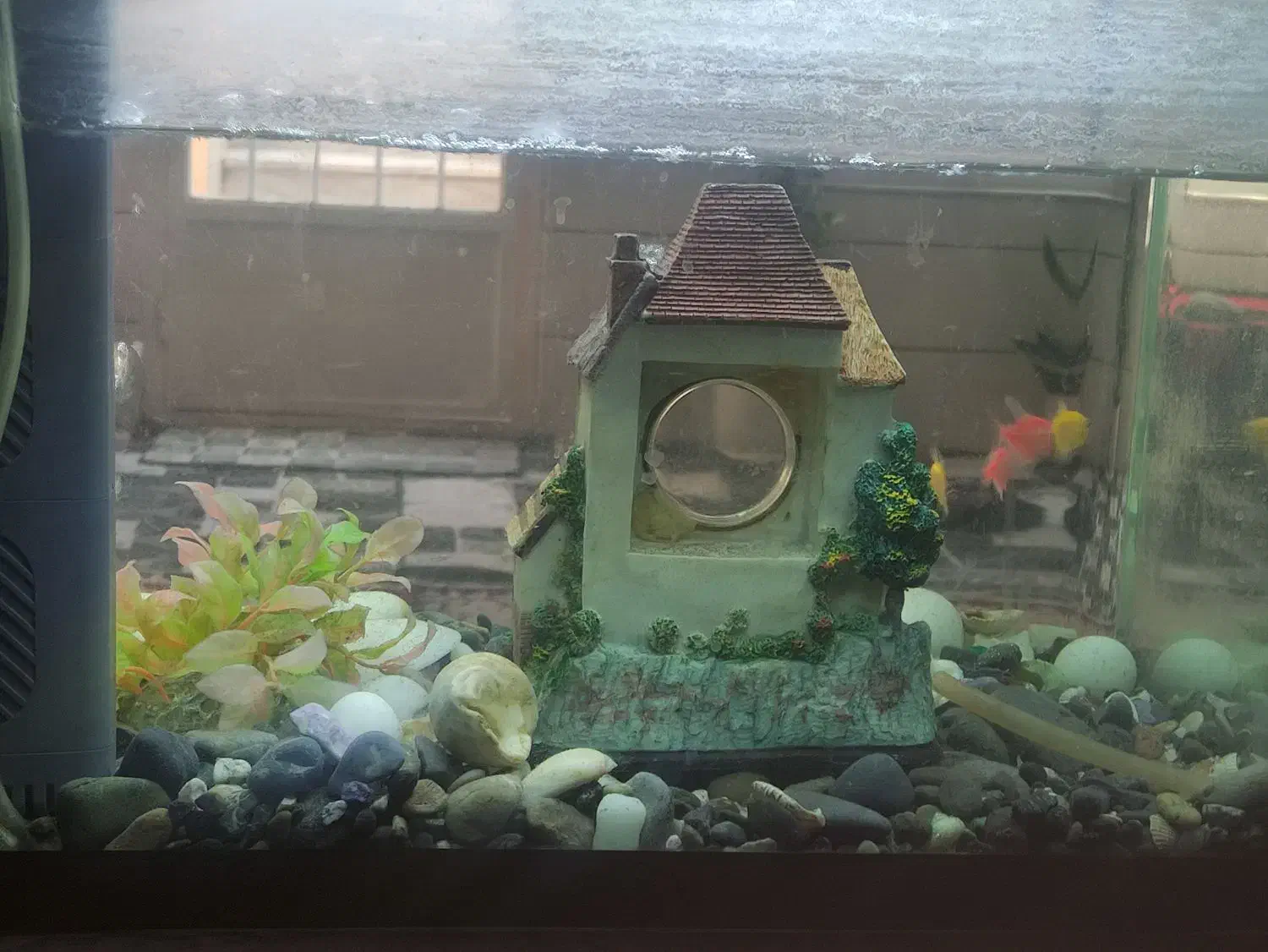 آکواریم با لوازم شیشه خم|ماهی|کاشان, قطب راوندی|دیوار