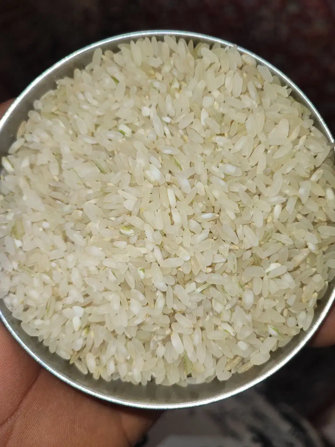 برنج کامفیروزی به شرط پخت|خوردنی و آشامیدنی|کامفیروز, |دیوار