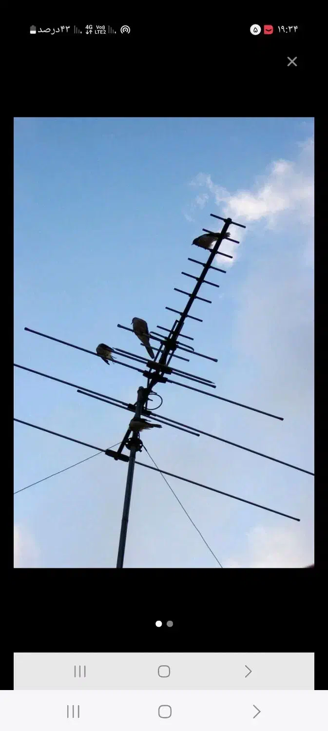 نصب پایه تلویزیون براکت|خدمات پیشه و مهارت|بجنورد, |دیوار