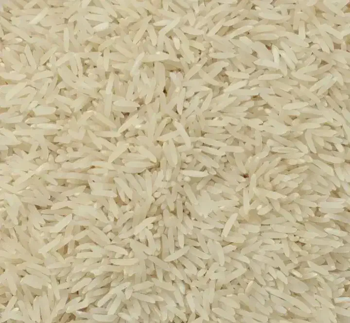 برنج فجر سوزنی|خوردنی و آشامیدنی|فاضل آباد, |دیوار