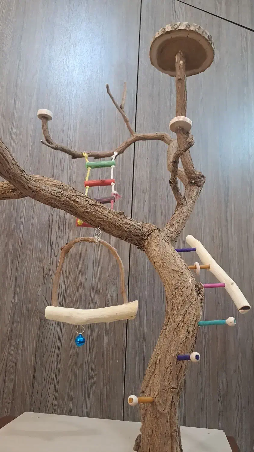 درخت پرندگان|لوازم جانبی حیوانات|مشهد, نیروی هوایی|دیوار