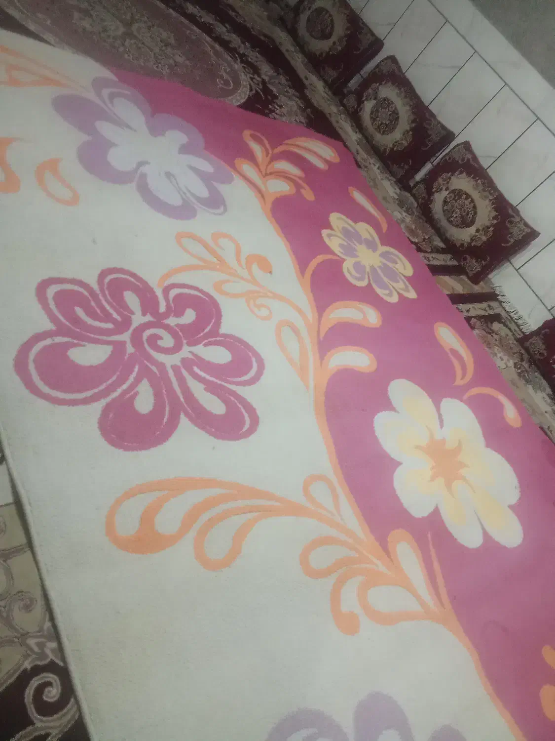 قالی فرش|فرش|داراب, |دیوار